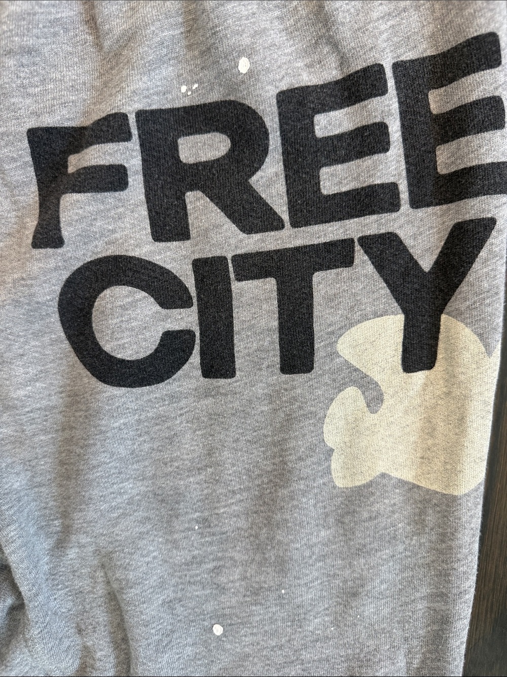 freecity Grey Jogger Sweatpants with Free City Logo and splatter paint - Picture 2 of 8